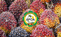 Bhopal To Host The Biggest Palm Oil Dialogue Of 2025 — Why This Conclave Matters Now Bhopal To Host The Biggest Palm Oil Dialogue Of 2025 — Why This Conclave Matters Now