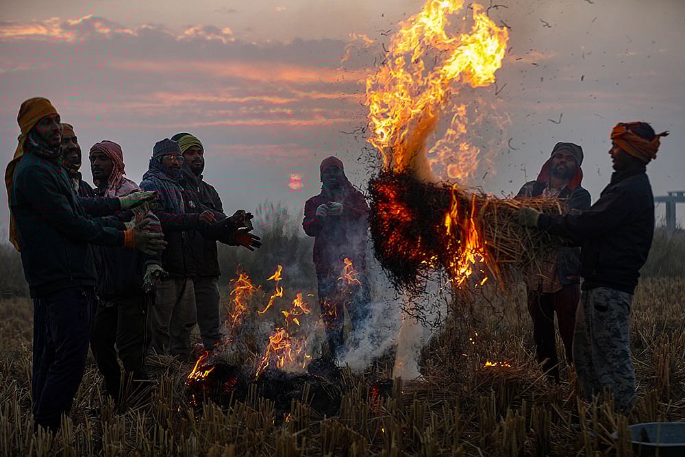 Weather: Farmers burn stubble on a winter morning in Jammu