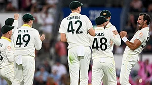 Australia celebrate Mitchell Starc's wicket of Joe Root