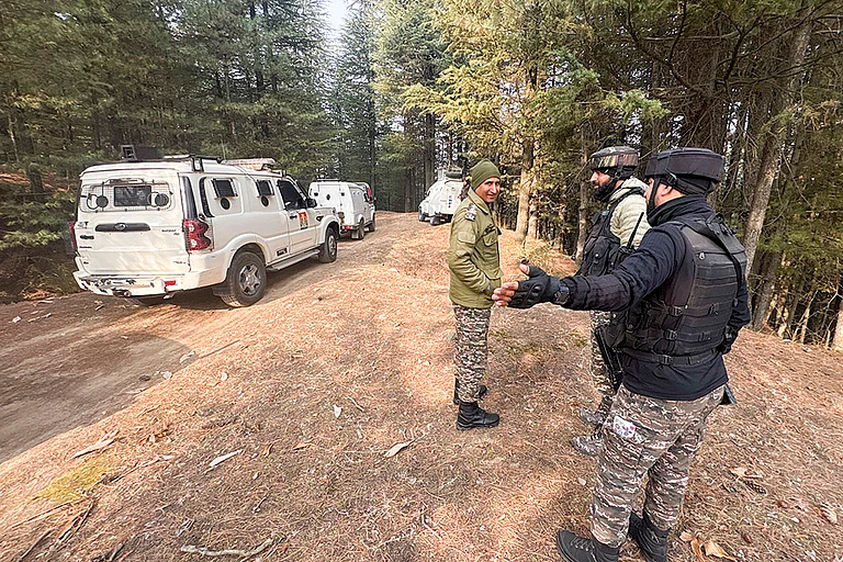 Security personnel conduct searches in the Hutmurah forest area as part of the ongoing investigation linked to the Delhi blast case, in Anantnag district, Jammu and Kashmir. - | Photo: PTI