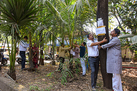 People protest by hugging trees at the Thane Regional Mental Hospital premises, where nearly 800 trees are expected to be cut for renovation work, in Thane.