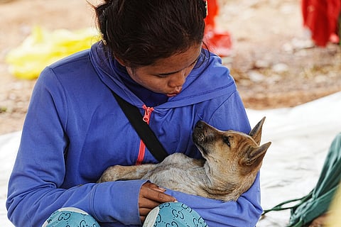A woman plays with a dog as she takes refuge at Chonkal district in Oddar Meanchey province, Cambodia after fleeing from home following fighting between Thailand and Cambodia over territorial claims. 