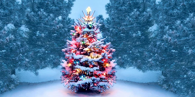 A snow-covered Christmas tree with colorful lights stands between blue-tinted evergreen trees