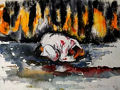 Labani Jangi : The last two decades have revealed that images no longer merely document events; they actively produce political meaning.