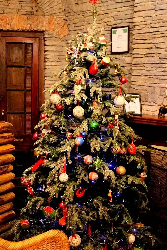 Decorated indoor Christmas tree