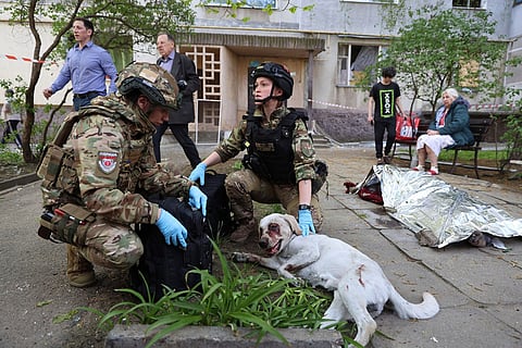 Police officers calm an injured dog while a dead body lies near a multi-story building damaged by a Russian strike on a residential neighborhood in Zaporizhzhia, Ukraine, April 22, 2025. 