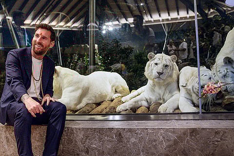 Argentine footballer Lionel Messi during a visit at Vantara, a wildlife rescue, rehabilitation and conservation centre, in Jamnagar, Gujarat. 