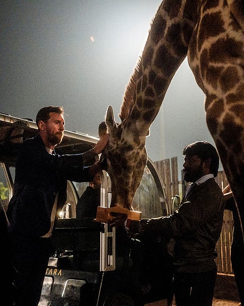 Argentine footballer Lionel Messi spends time with a giraffe during a visit at Vantara, a wildlife rescue, rehabilitation and conservation centre, in Jamnagar, Gujarat. 