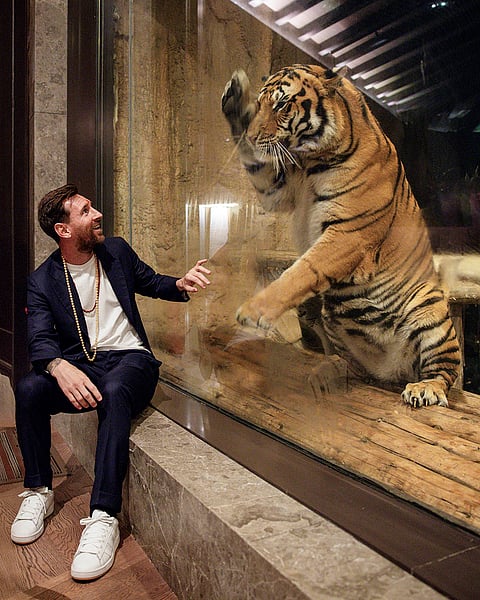 Argentine footballer Lionel Messi during a visit at Vantara, a wildlife rescue, rehabilitation and conservation centre, in Jamnagar, Gujarat. 