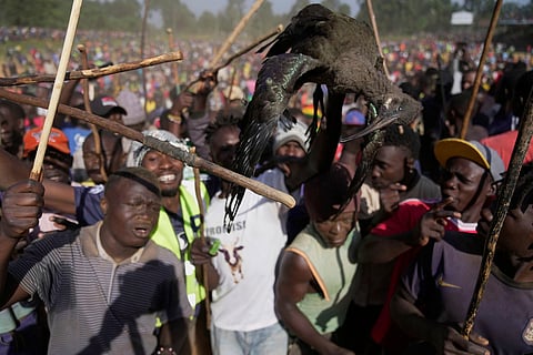 A crowd of spectators, holding a dead bird on a pole, dances and sings after bull Shakahola won bullfighting match, in Kakamega, Kenya.