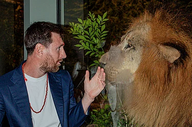 | Photo: Vantara via PTI