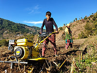 Himachal Feels The Heat As “Warm Winters” Affect Crop Production Shutterstock