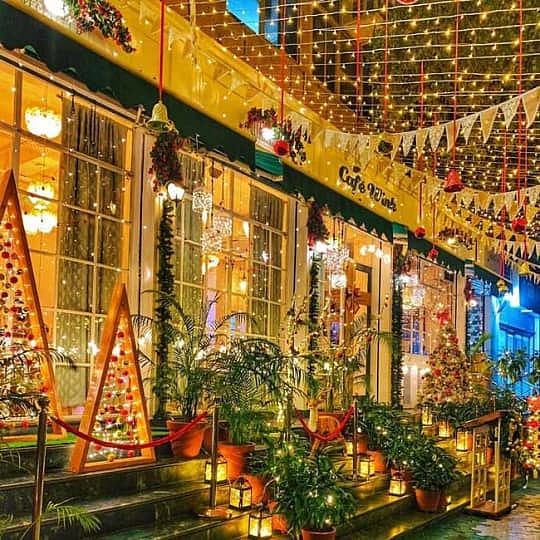 Cafe exterior lit with fairy lights, Christmas trees