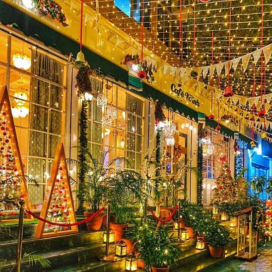 Cafe exterior lit with fairy lights, Christmas trees