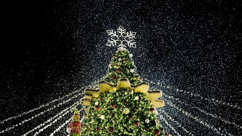 Illuminated Christmas tree
