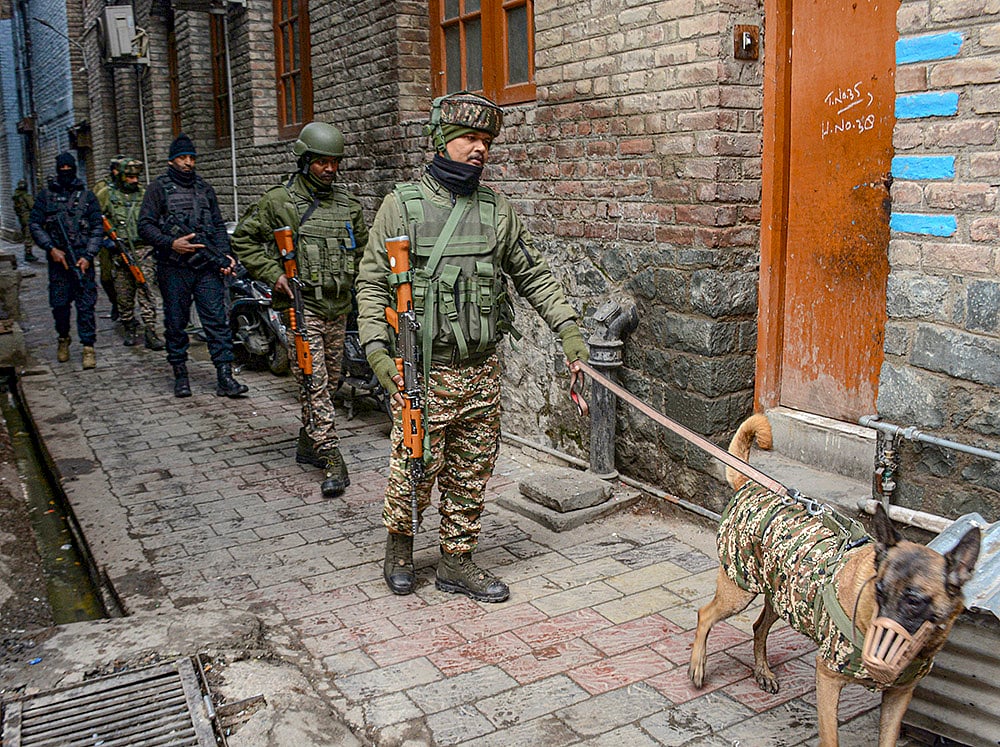 Security personnel conduct search operation in Srinagar after militant inputs