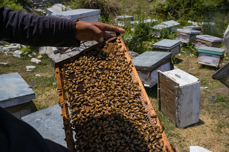 Startup ecosystem in Himachal Pradesh
Hill economy diversification
MSME investment opportunities