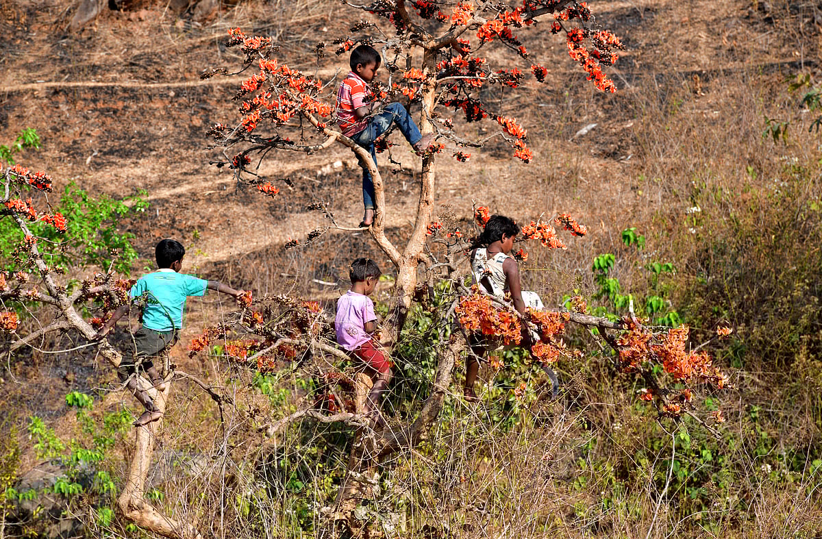 null - Tribhuvan Tiwari