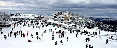 5 Best New Year Events In Shimla 2026: Parties, Stays & Packages