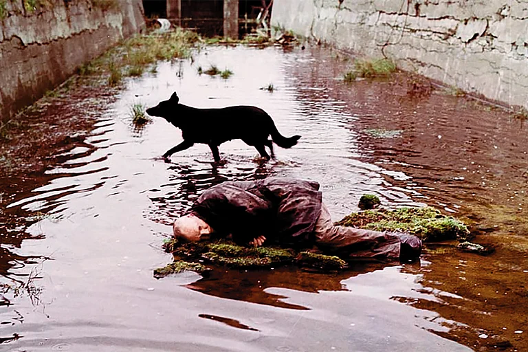 Real/Reel: A screen grab from the film Stalker - null