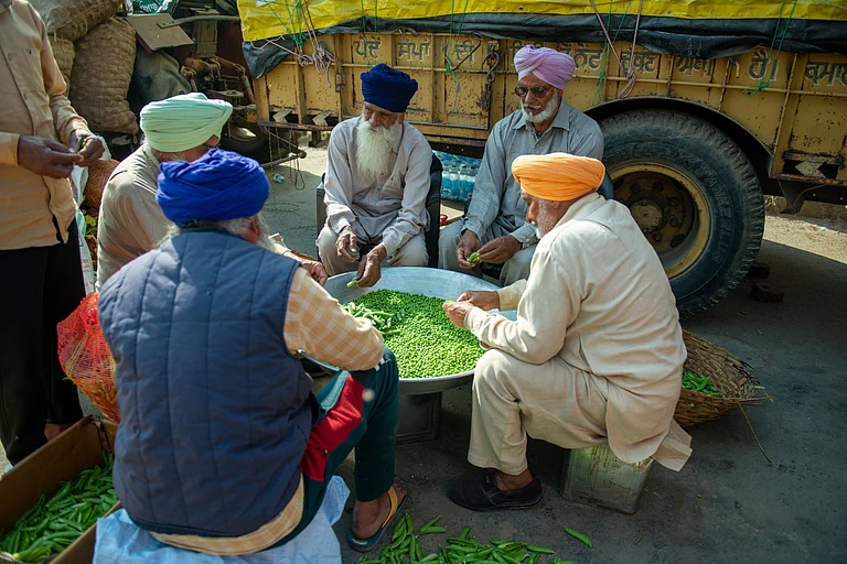 Haryana, India December 9 2020: Sikh mans sit in a circle to shell peas for langar (community kitchen) preparation during Farmer protest. - Shutterstock