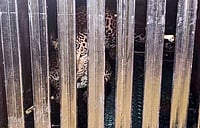Enemy Of The State? Leopard Sightings In Maharashtra, Decoded Imago/ANI : A male leopard has been captured in a cage set up by the Forest Department at maharashtra
