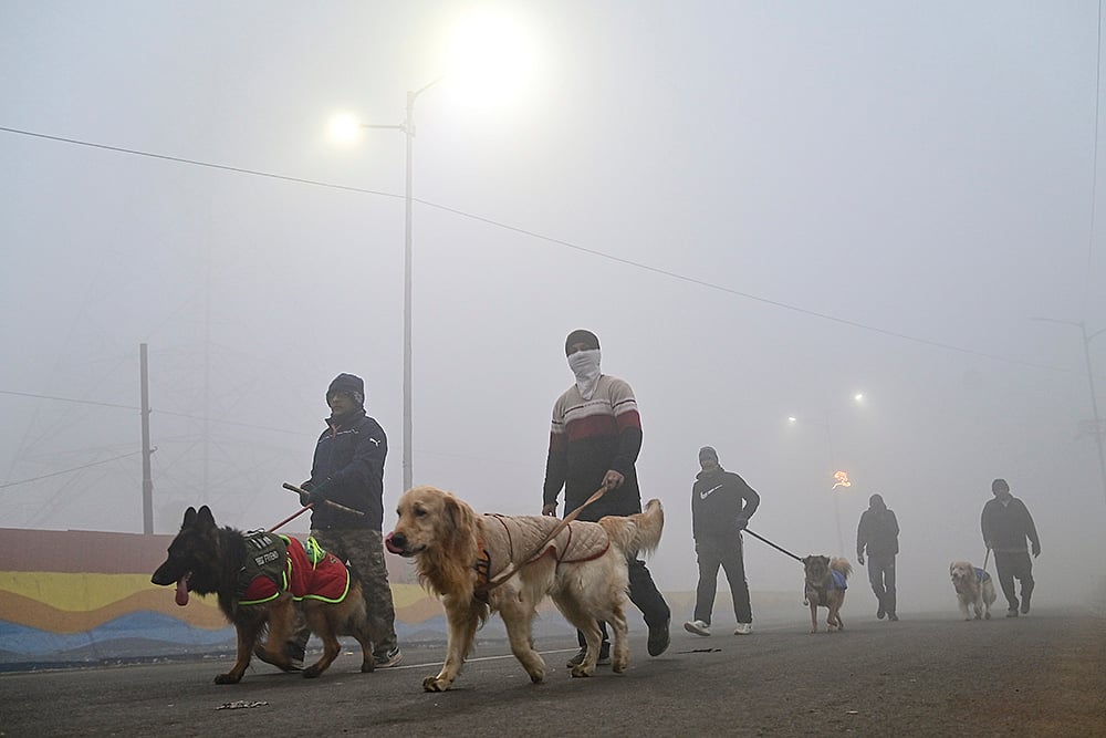 Weather: Winter day in Prayagraj