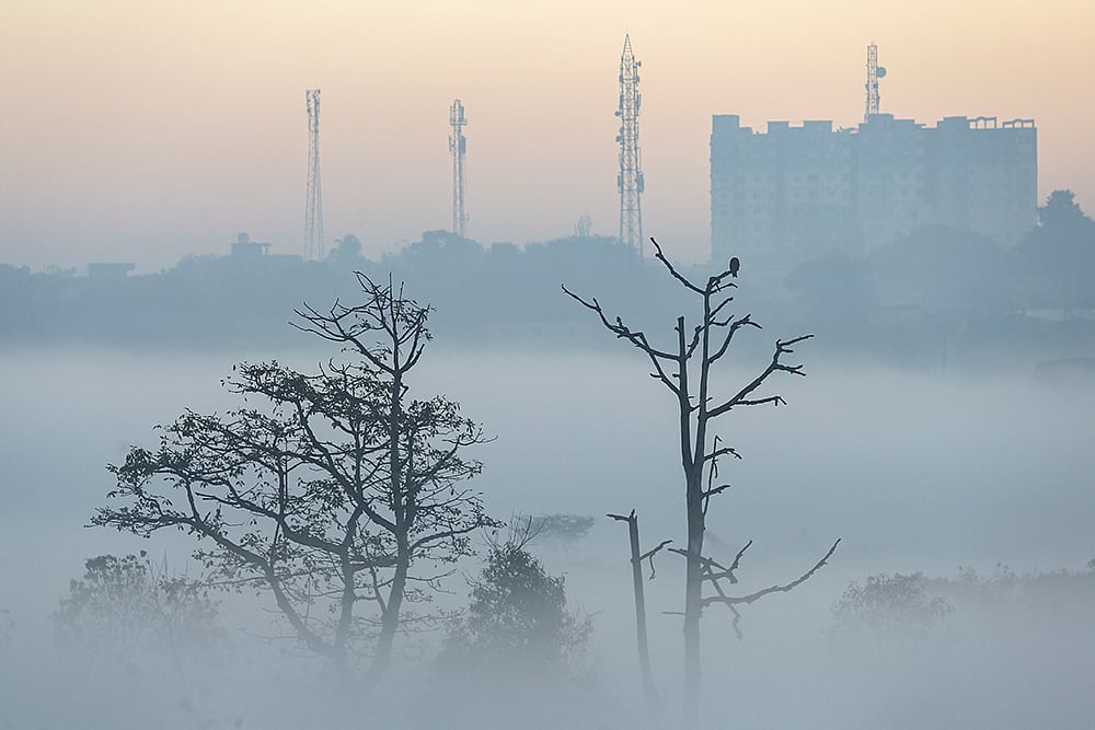 A dense layer of fog shrouds the city area on a cold winter morning, in Ranchi. - | Photo: PTI