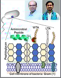 IIT Ropar Researchers Develop Rapid, Highly Accurate Method To Detect Harmful Bacteria