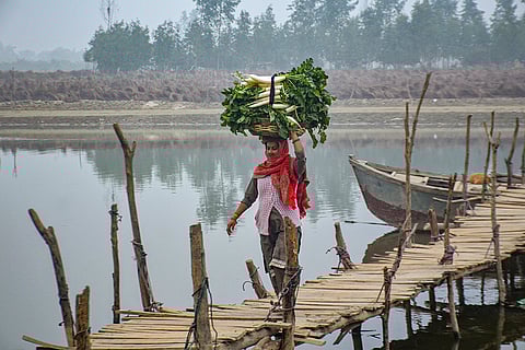 A woman carries vegetables across a wooden jetty over the Ramganga river on a winter morning in Moradabad.