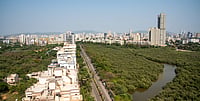 Development At What Cost? Mumbai’s Mangroves In The Crosshairs Shutterstock : Arial view of empty roads and Mangroves at Charkop sector 8, Mumbai