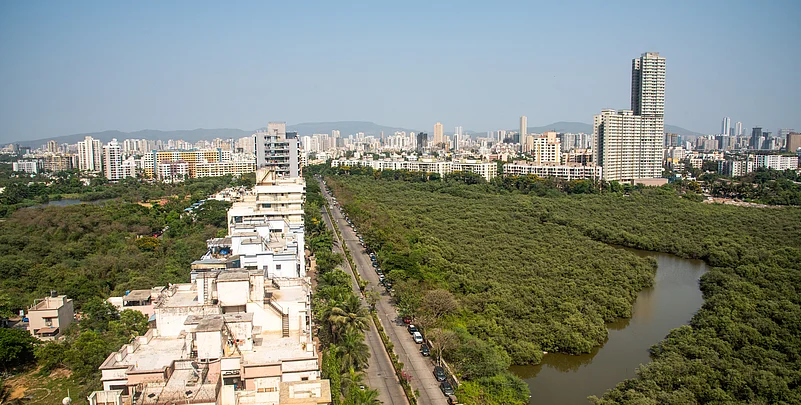 Destruction of Mumbai Mangroves