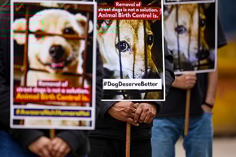 Animal rights activists hold placards as they stage a protest urging the Supreme Court to recall its “impractical and inhumane” order on removing street dogs from public spaces, at Jantar Mantar, in New Delhi.