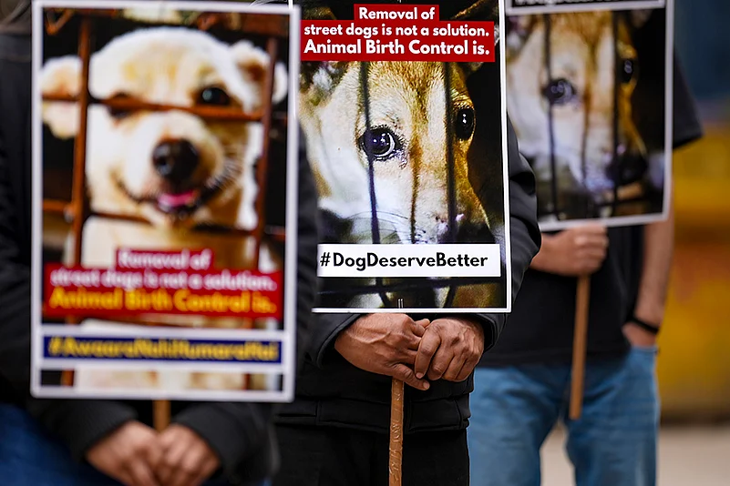 Animal rights activists protest in Delhi