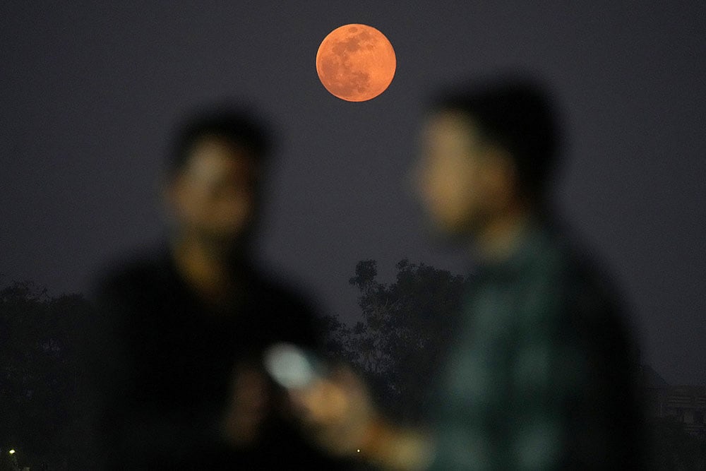 India Wolf Supermoon