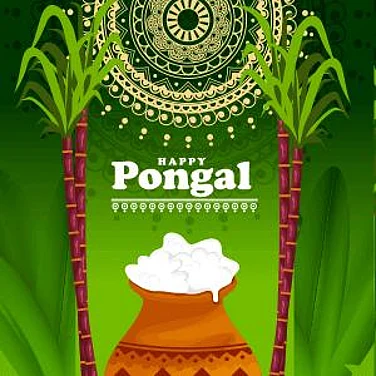 Pongal 2026 In Tamil Nadu: Best Places To Experience Traditional Celebrations