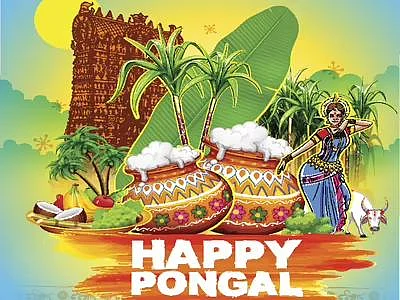 Graphic for Happy Pongal festival featuring sugarcane and an overflowing pot