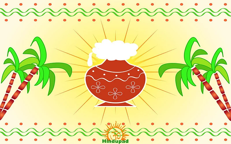 Graphic for the Hindu festival Pongal featuring sugarcane and an overflowing pot