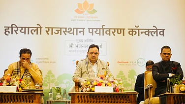 Over 90% Of Plants Alive Due To Haryalo Rajasthan, But Efforts Must Begin At Every Home: CM Bhajanlal Sharma