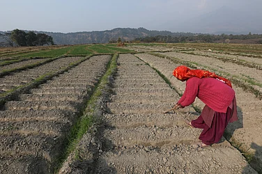 IMAGO / Matrix Images