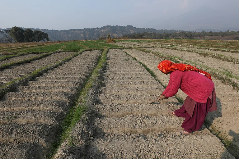 Pro-longed dry spell in Himachal Pradesh, India A farmer attends to her potato farm at a village in Nagrota Bagwan near Dharamsala, India on January 24, 2024. The extended period of dry weather in the Indian state of Himachal Pradesh along with a mild winter this year, poses a threat to Rabi farmers who may incur losses due to adverse effects on crop growth. In addition to the impact on crops, the insufficient rainfall may lead to water shortages in the upcoming summer, with the state experiencing an 83 percent deficit in December. Dharamsala, India - IMAGO / Matrix Images