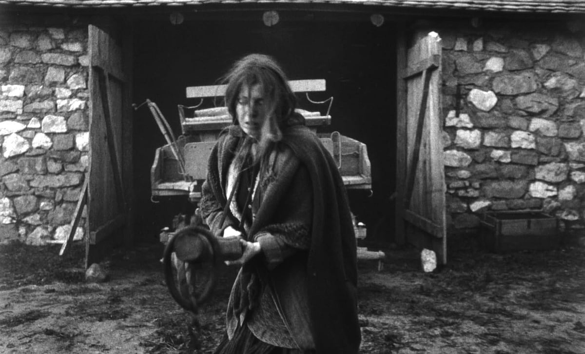 The Turin Horse Still