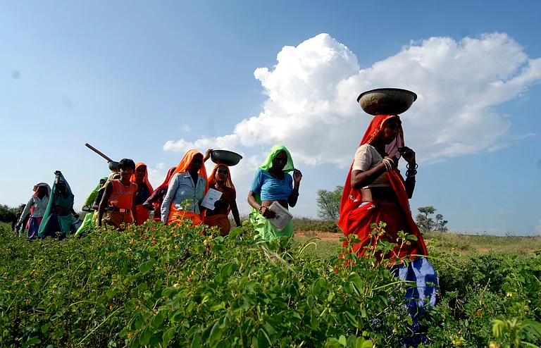 Women labourers under National Rural Employment Guarantee Act (NREGA) in Karauli district, Rajashtan - Tribhuvan Tiwari / Outlook