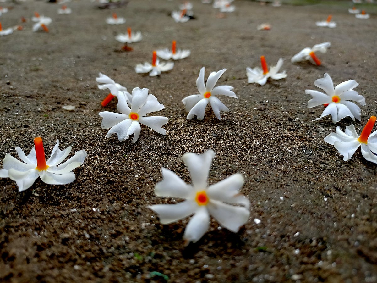 Representative Image - Shutterstock