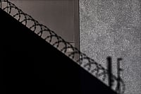 Shutterstock : Poetry as Protest: Capturing Current Affairs In Poems