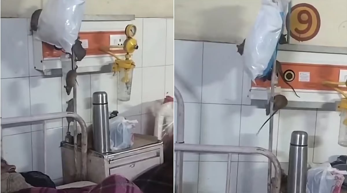 Screengrab from the video. - X