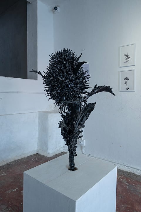 Seeding a Deformed Memory by Ahmed Alaqra