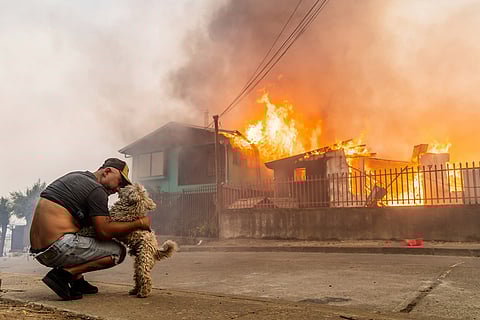 A member of the Gonzalez family pets his dog after the family's home caught fire during wildfires in Lirquen, Chile.