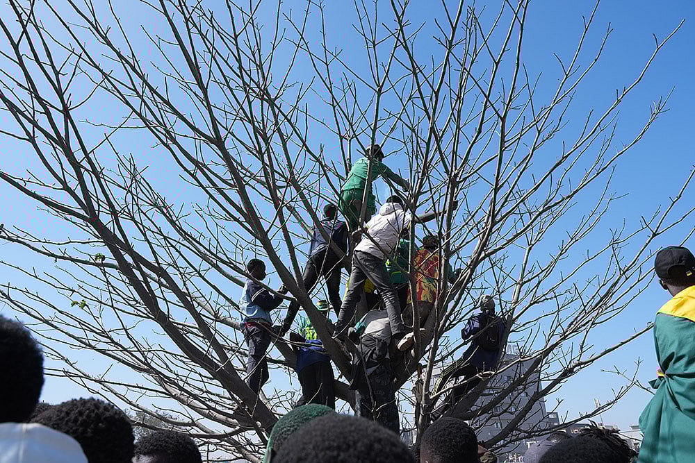 Africa Cup of Nations Soccer Champions Senegal Welcomed By Hundreds Of Fans In Dakar-9