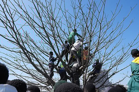 Thousands of fans cheer the Senegalese soccer team celebrating their victory in the Africa Cup of Nations soccer tournament, in Dakar, Senegal.